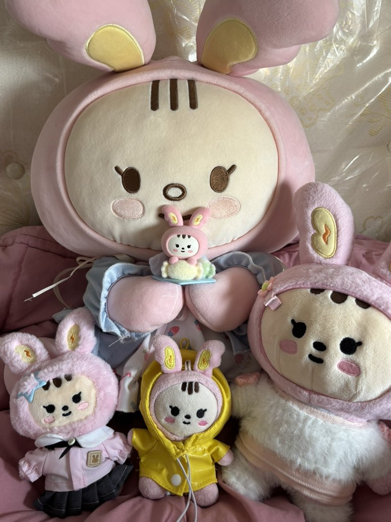 jeongcehol's tweet photo. newest member of my jjongtoram family 🥺❤️ https://t.co/gIe6dYEDYD