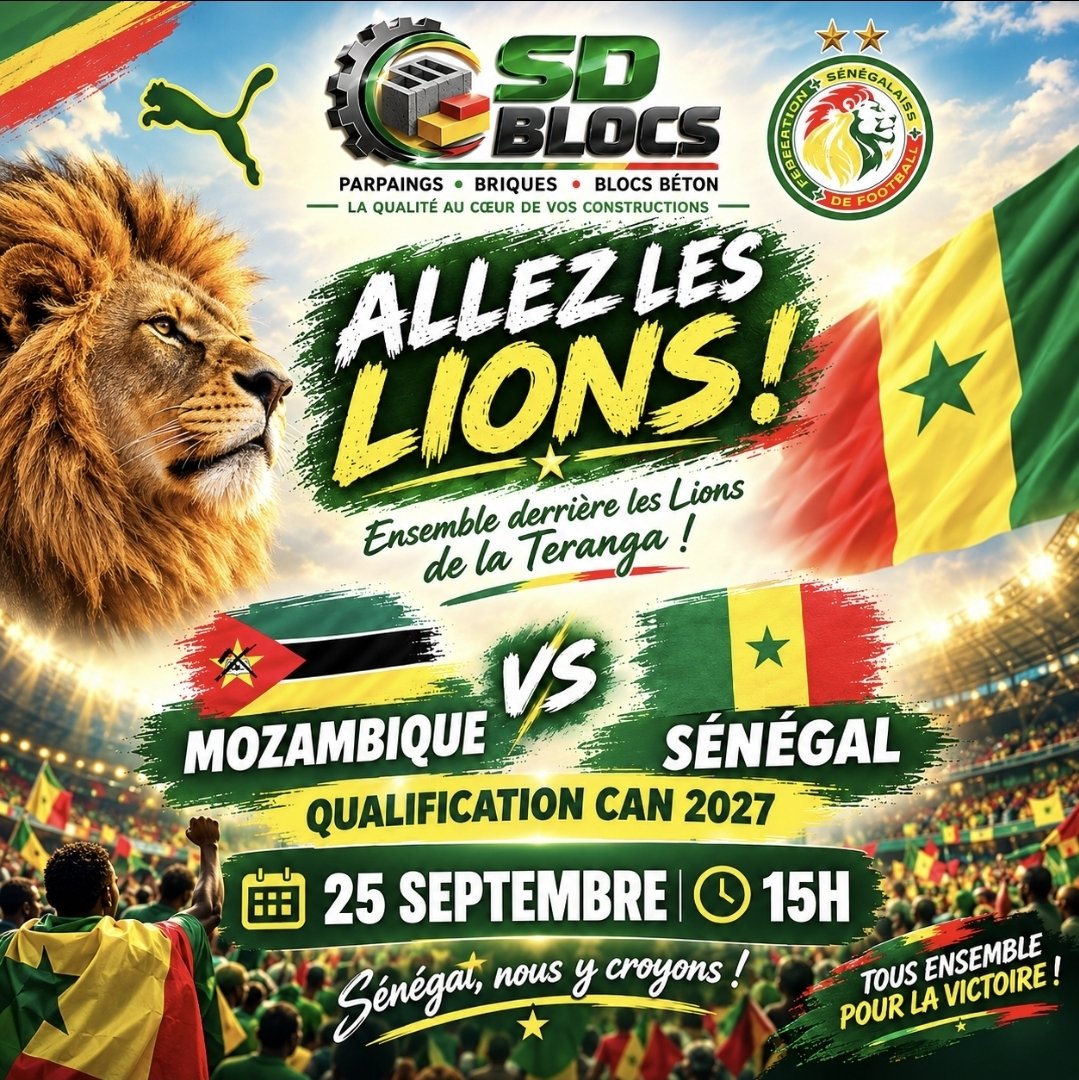 Sd_blocs's tweet photo. Allez les lions 🦁 https://t.co/c8MUOdYWOL