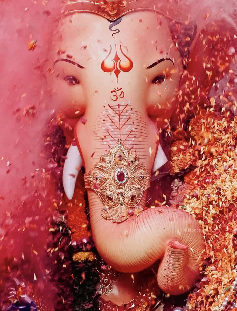 _blessingwave's tweet photo. Bappa🥺 https://t.co/MYMSMtW7qh