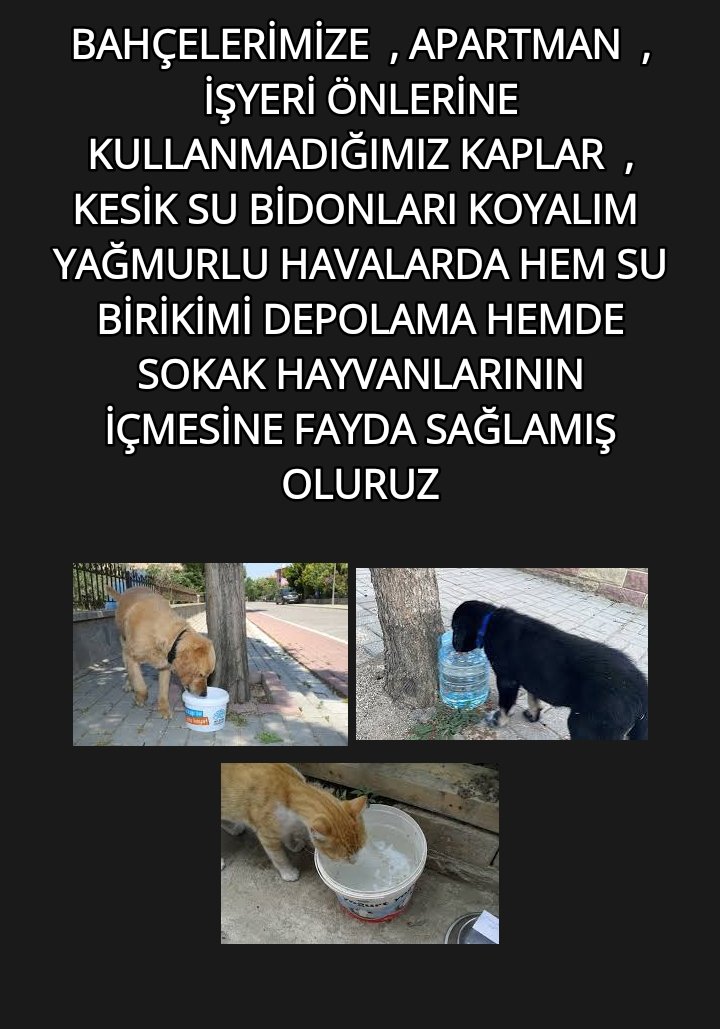 yusufcekic45's tweet photo. #bergama #beydağ #bornova #buca #çeşme #çiğli #dikili #foça #gaziemir #güzelbahçe #karabağlar #karaburun #karşıyaka #kemalpaşa #kınık #kiraz #konak #menderes #menemen #narlıdere #ödemiş #seferihisar #selçuk #tire #torbalı #urla #kahramanmaraş #afşin #andırın #öne #çağlayancerit https://t.co/u2SmYWFksW