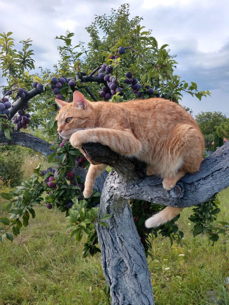 KVajpayaee's tweet photo. @kosmomireille #Katyayan
Bon week-end à vous. Que vos jours de repos soient douillets et paisibles. Passez un week-end merveilleux et béni. Faisons en sorte que chaque jour soit agréable. https://t.co/EK4ihYi9pD