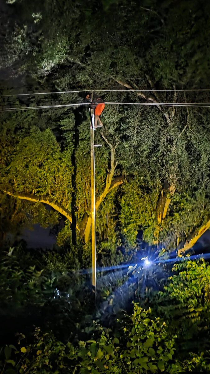 esdpurnea_west's tweet photo. Line restoration at different locations under ESD Purnea West. @SEVA_NBPDCL @SEVA_BSPTCL @SEVA_SBPDCL @SEVA_BSPGCL @EnergyBihar https://t.co/IYET89j7br
