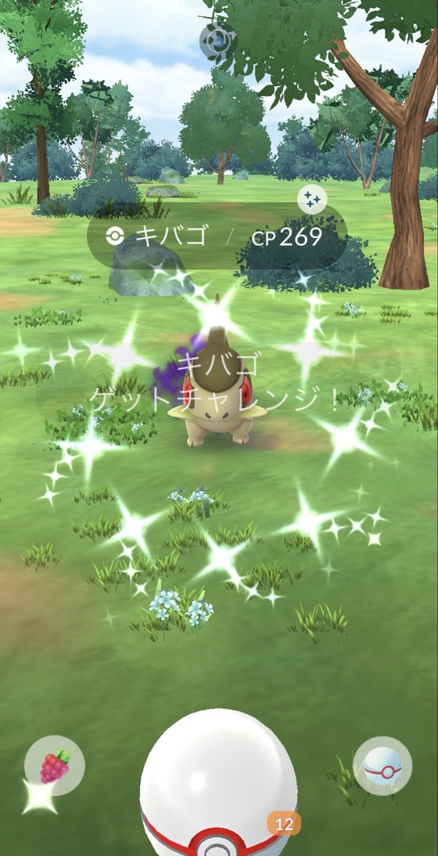 chihuahuamen's tweet photo. やっときたー✨
クリフありがとう😊
#色違い #Shiny
#キバゴ
#ポケモンGO #PokemonGO 
#毎日クリフ https://t.co/g7Yw60oSt5