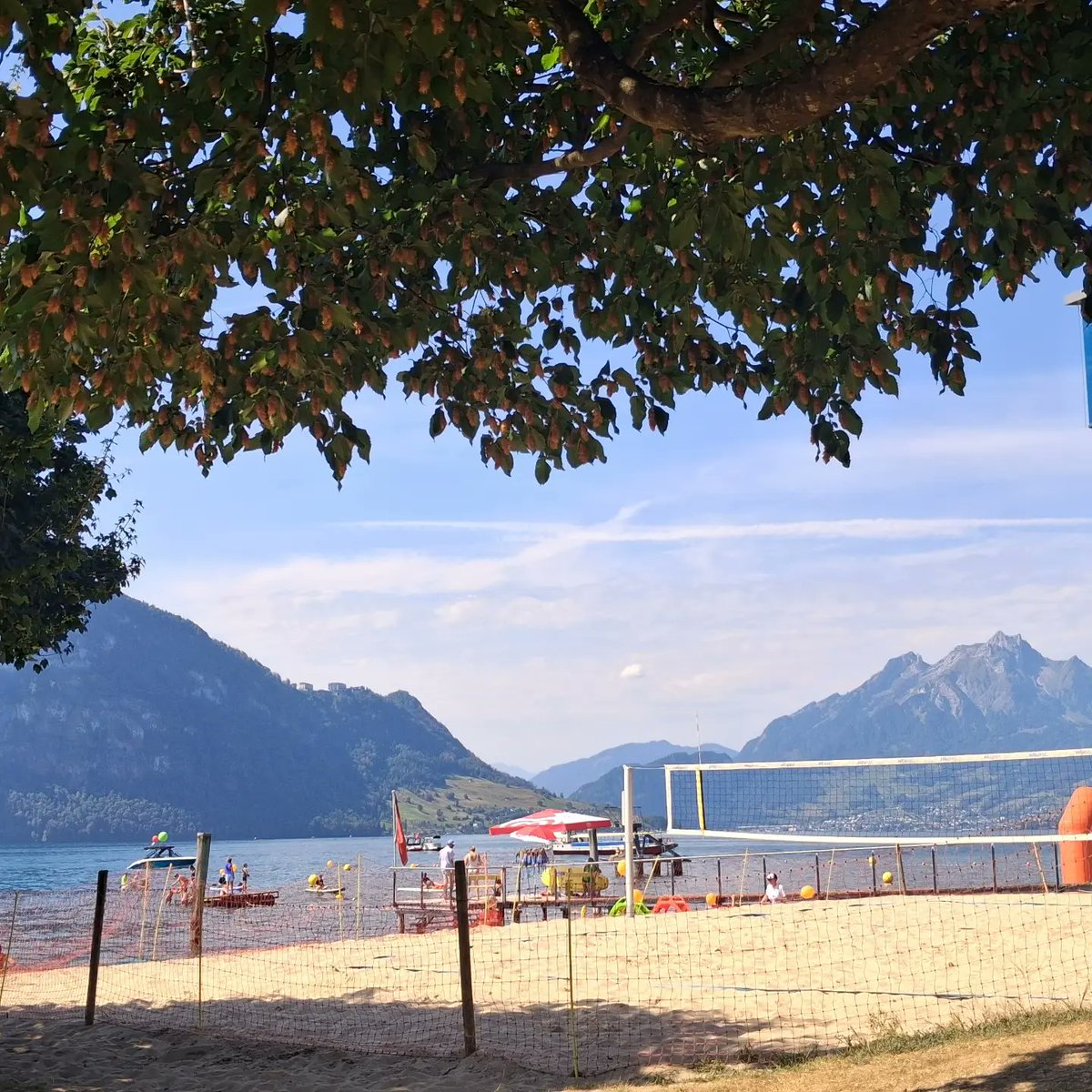 TanikaWinlye's tweet photo. Ein sonniger Tag am unverwechselbar schönen Vierwaldstättersee. https://t.co/HNRv20CziC