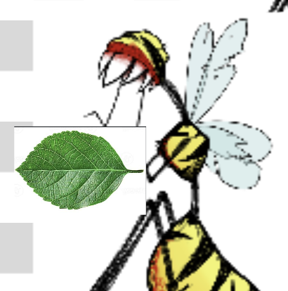 Workerbee478294's tweet photo. @MalkuthSephirot bzzzz Leaf! bzzzz https://t.co/INf9XoliEq