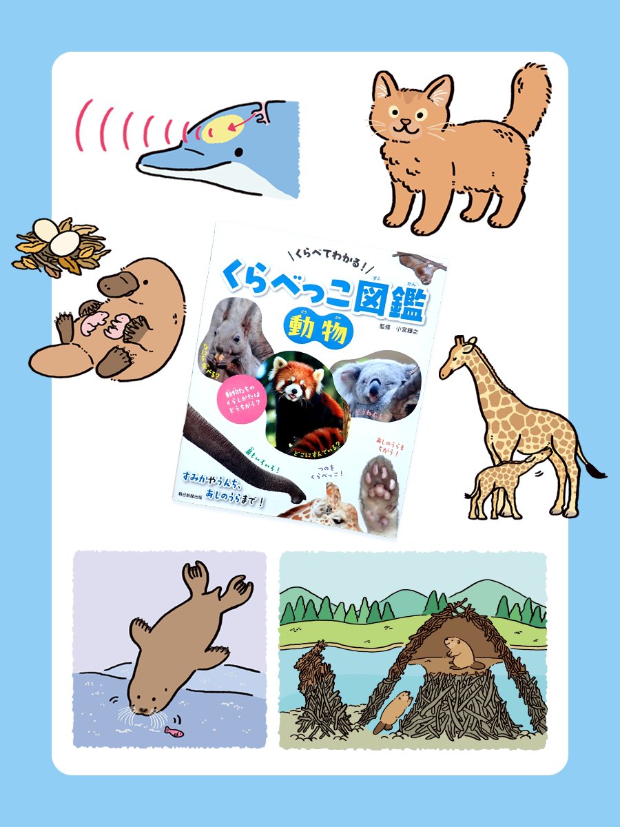 chocochacha23's tweet photo. 【おしごと】
株式会社朝日新聞出版／「くらべっこ図鑑 動物」本文カットイラストを13点制作いたし��した🥳
素敵な写真が盛りだくさん！様々なテーマで動物たちを比較していて、とっても面白い1冊です🦒
↓詳細URLは続きをご覧ください🐬 https://t.co/JJmrJA75OR