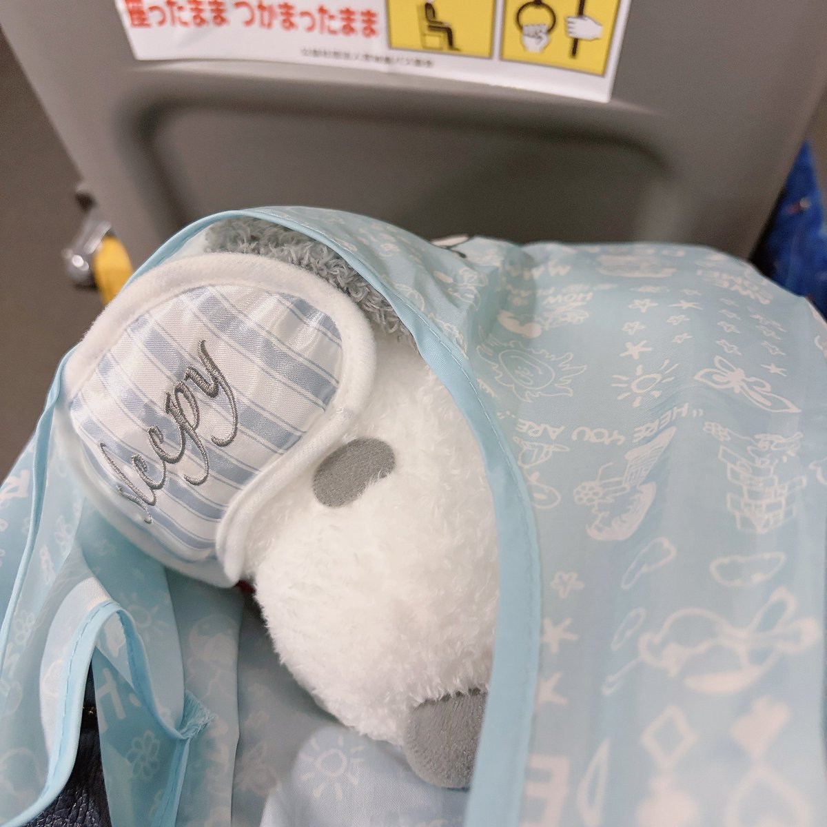 scrap_000's tweet photo. スリーピースヌーピー💤
笑顔で寝てる
持ち帰る間中可愛かった🩶
優しい顔してて可愛い https://t.co/Yw8gUAY2mv