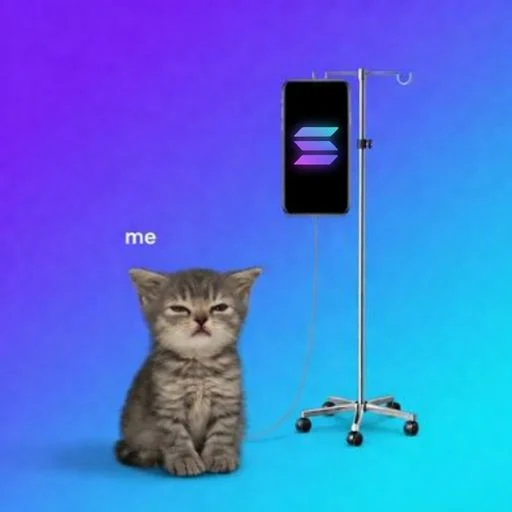 ITWILLRUN's tweet photo. New TREND!?!?!?

Literally the perfect trend with a cat, solana witll 100% post this image if we push it
https://t.co/J0mgf0PoVz https://t.co/sf9AKxW3k4