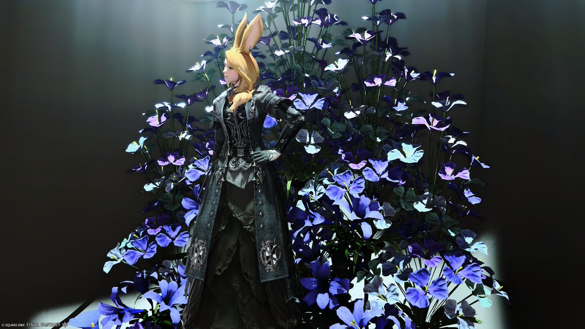 ff14freiheit's tweet photo. #FF14SS #スタジオ #ヴィエラ
#tomoStudio 様 Starlight Room https://t.co/rS1XdFrcG6
