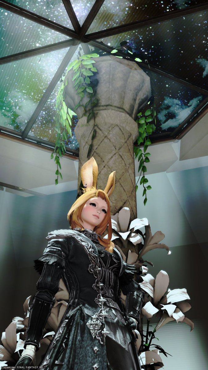 ff14freiheit's tweet photo. #FF14SS #スタジオ #ヴィエラ
#tomoStudio 様 Starlight Room https://t.co/rS1XdFrcG6