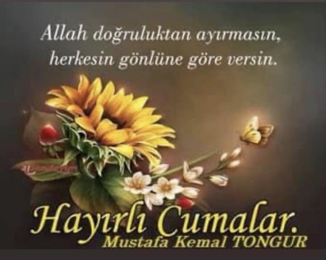 tongur07's tweet photo. @@BirolEkici73 @ar_beduk @YilmazTunca06 @mustafaozdemr07 https://t.co/1GhMx3Nl4o