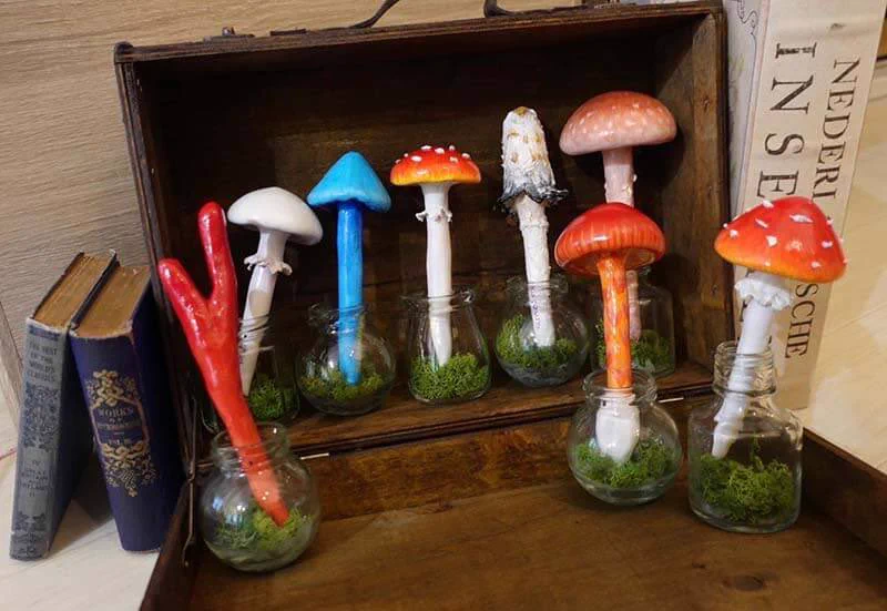 🍄ヨコハマきのこ大祭公式🍄 on X: 