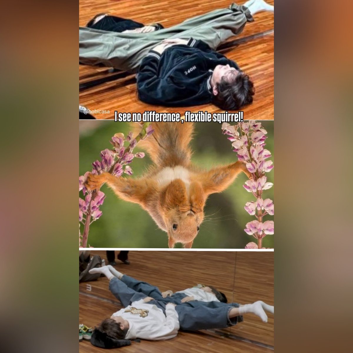 MaratsGirl's tweet photo. My flexible squirrel 🥹 https://t.co/rSAYxZIDAf