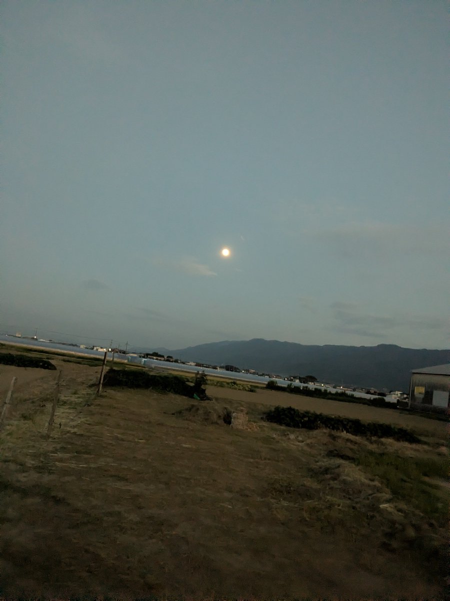 wo45jjk's tweet photo. ヤバイ綺麗 https://t.co/ULxVPCY1Q4