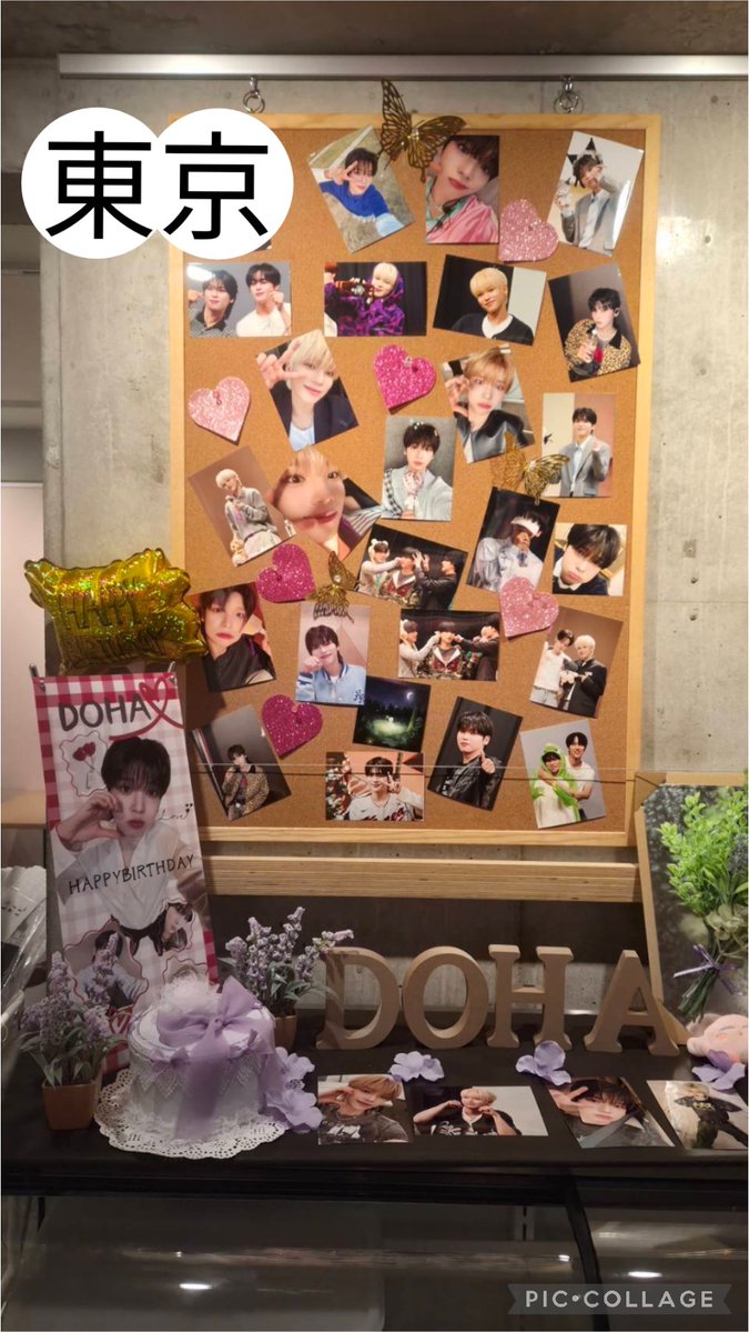 HappyDOHALand's tweet photo. 本日より
北海道
大阪
ドハセンイルカフェ開催しました！！

明日は
東京
福岡
沖縄
開催します✨✨

お近くの方は是非足をお運びください✨
🐯 🦭カプホも同時配布中です！！
 #DOHA  #センイル https://t.co/zaIIYv0GHq