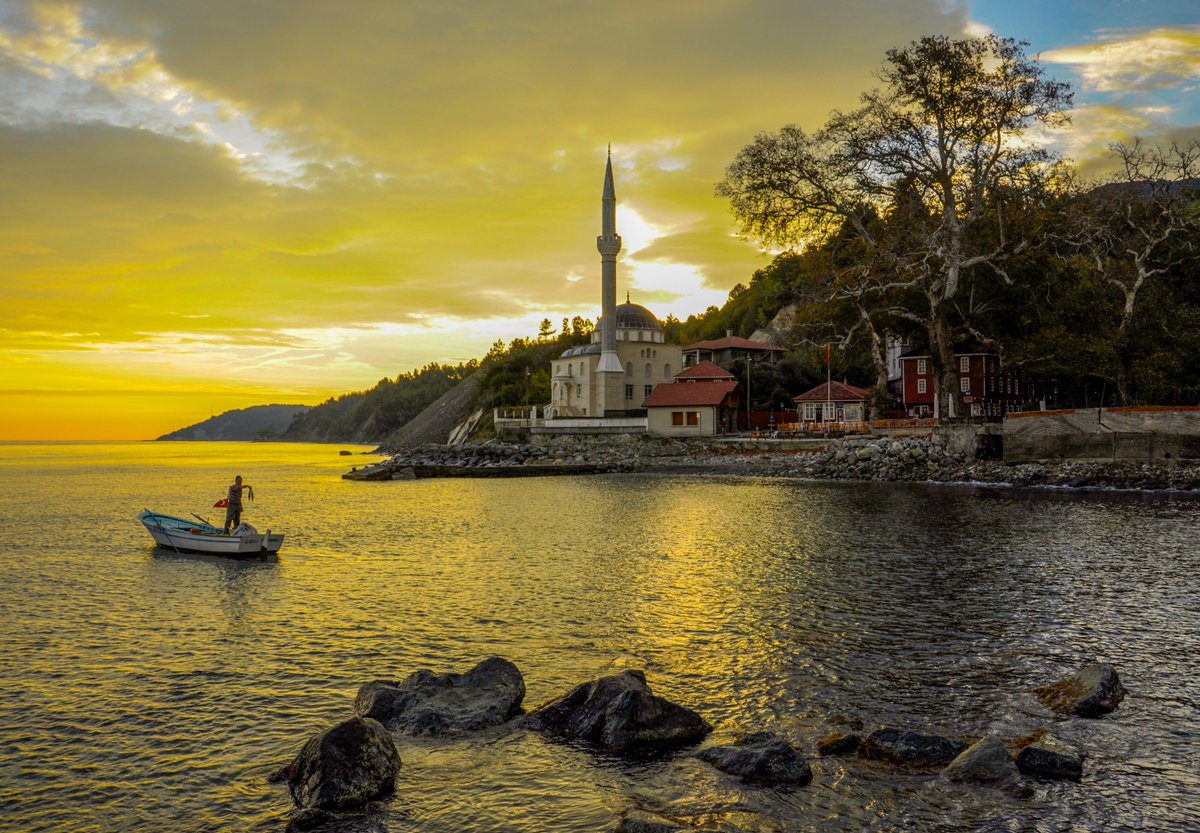 semihyukseltr's tweet photo. Kastamonu'nun Karadeniz sahilinde yer alan "zamanın sessiz tanığı" tarihi çınarın gölgesinde gün doğumu vakti... https://t.co/u37zGC5r79