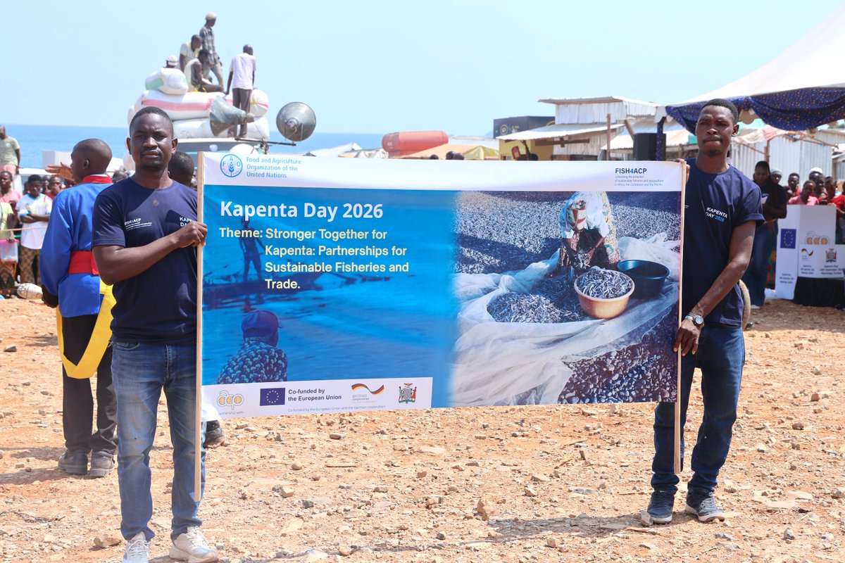 FAOZambia's tweet photo. 🐟 #KapentaDay2026 brought together fishers, traders, cooperatives, financiers and private sector partners in Mpulungu to showcase innovations, boost market linkages and promote a stronger, more sustainable kapenta value chain.
#FISH4ACP @EU_Partnerships @BMZ_Bund @PressACP https://t.co/XhTXXsZ7el