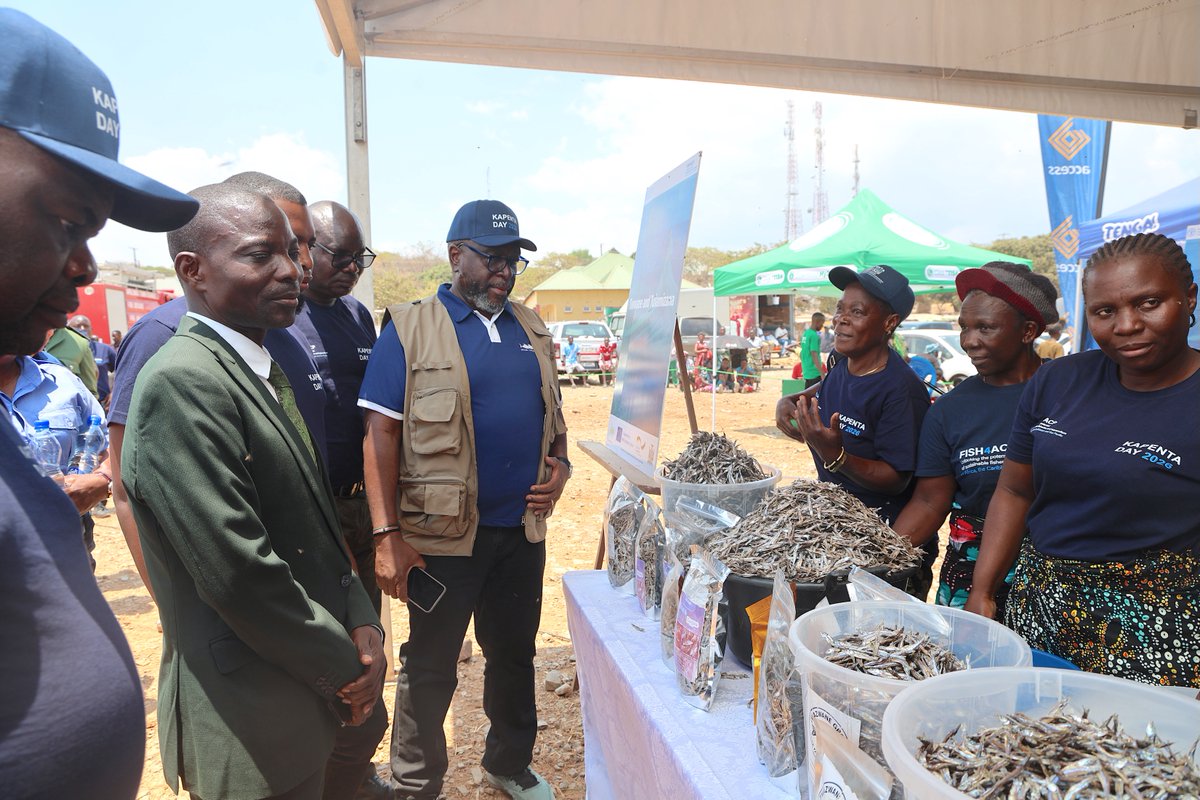 FAOZambia's tweet photo. 🐟 #KapentaDay2026 brought together fishers, traders, cooperatives, financiers and private sector partners in Mpulungu to showcase innovations, boost market linkages and promote a stronger, more sustainable kapenta value chain.
#FISH4ACP @EU_Partnerships @BMZ_Bund @PressACP https://t.co/XhTXXsZ7el
