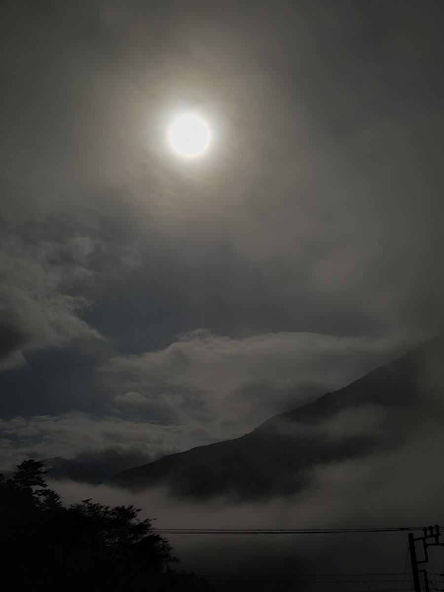 habanobo's tweet photo. 昨夜から、今宵へ。🌕

雲に隠れたり、また姿を現したり。

身延山の空に浮かぶ、中秋の名月。

雲に隠れても、月はそこにある。

今宵は虫の音とともに、心静かに月を仰ぐ🙏

#中秋の名月 #十五夜 #身延山 #端場坊 https://t.co/tUjXBmL2de