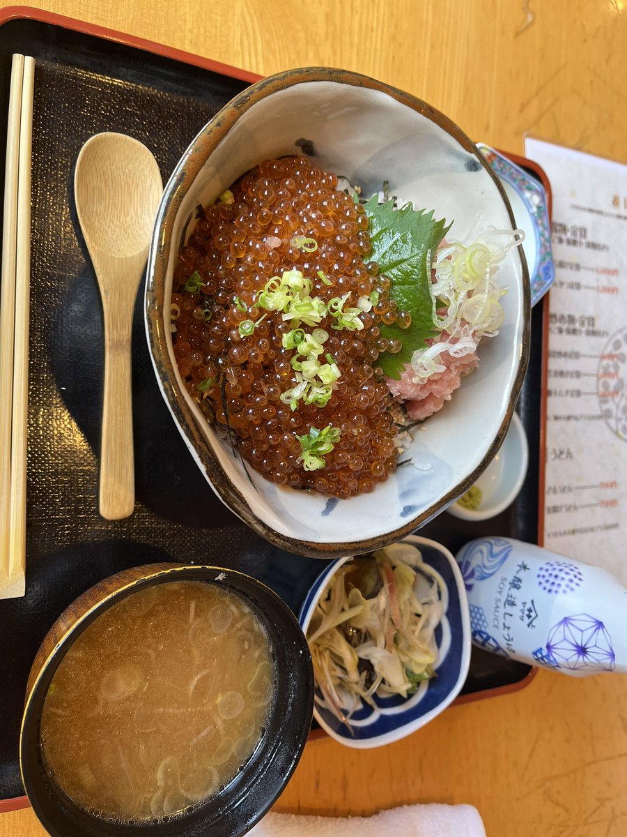 iron_molecules's tweet photo. サメ以外も色々 https://t.co/yO0h8uGEJo