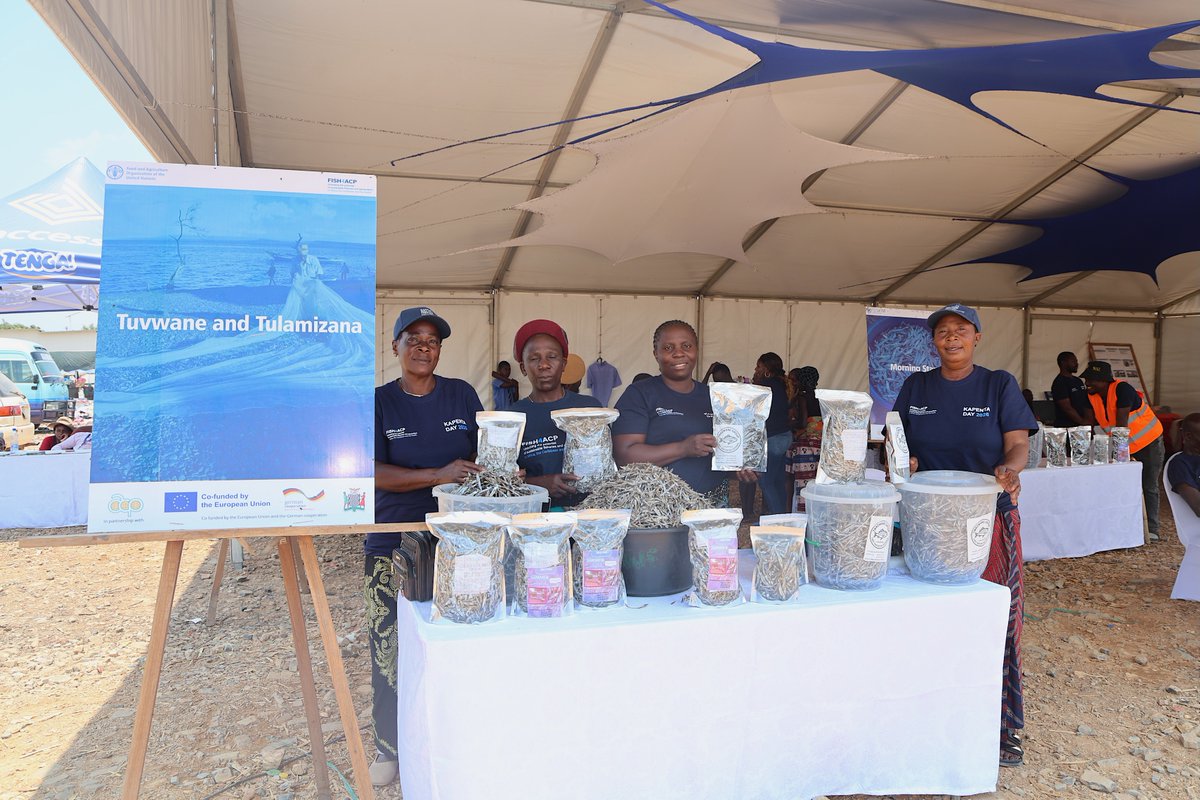 FAOZambia's tweet photo. 🐟 #KapentaDay2026 brought together fishers, traders, cooperatives, financiers and private sector partners in Mpulungu to showcase innovations, boost market linkages and promote a stronger, more sustainable kapenta value chain.
#FISH4ACP @EU_Partnerships @BMZ_Bund @PressACP https://t.co/XhTXXsZ7el