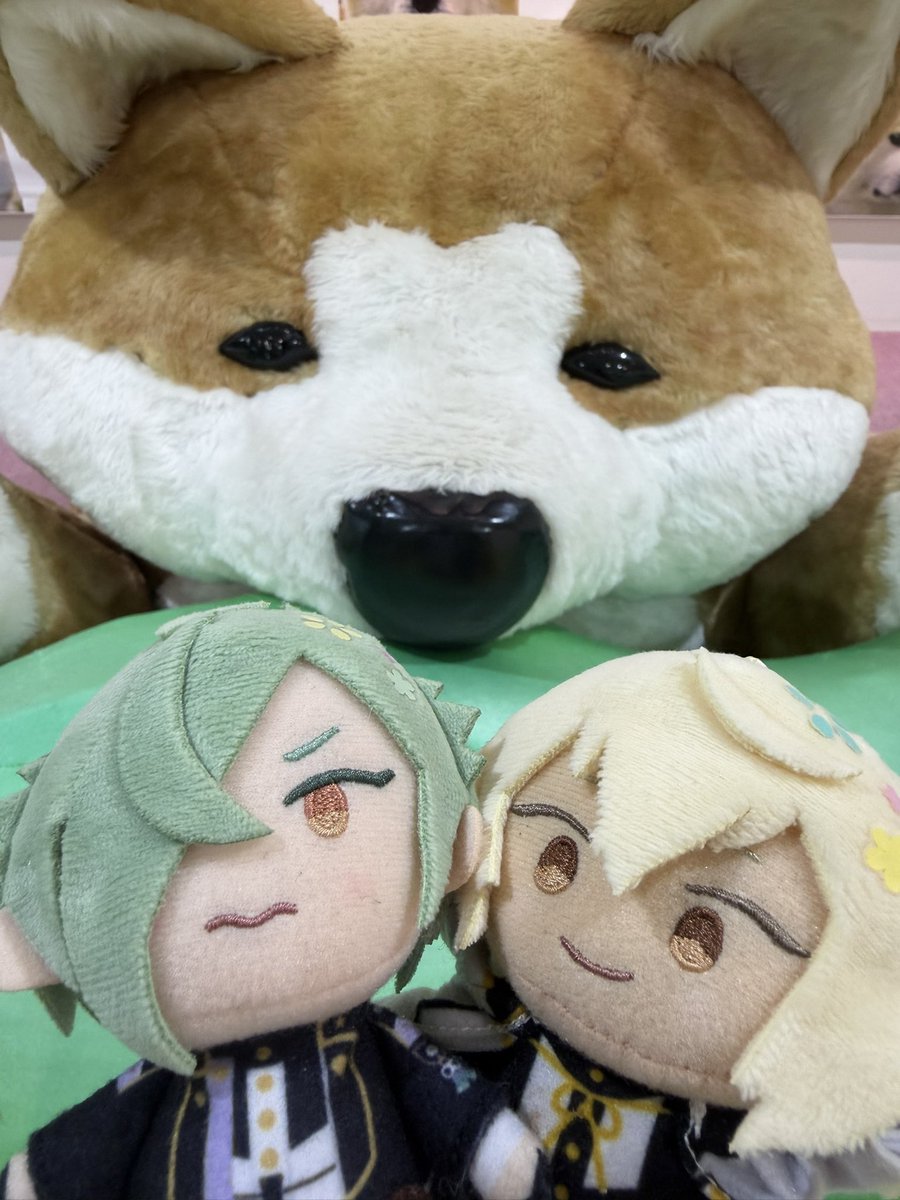 seto_moc107's tweet photo. 今日は大館から阿仁、角館経由で秋田に戻ったよぉ！ https://t.co/fDaFoGRTV2