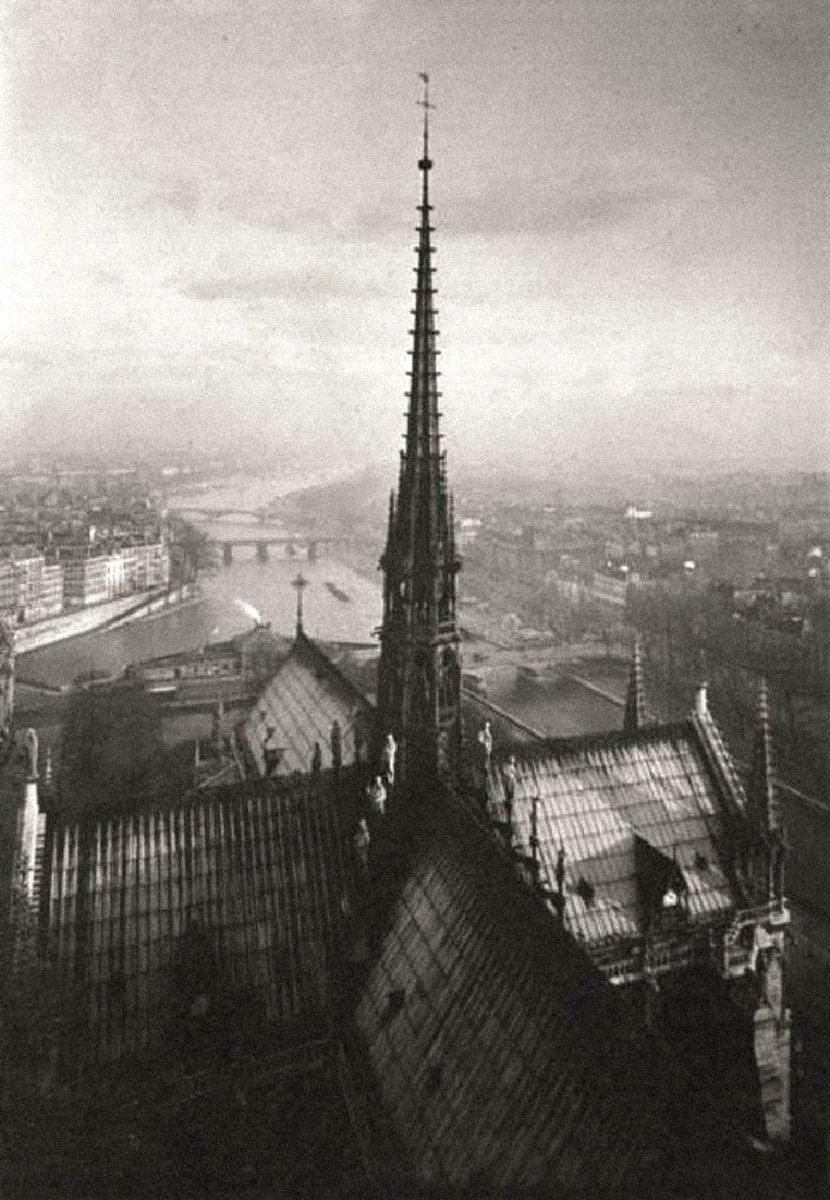 ParisAMDParis tweet picture