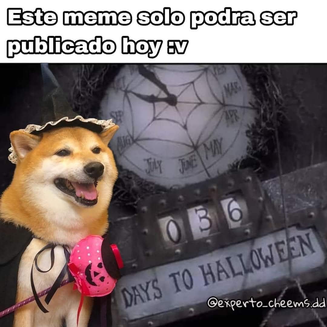 experto_cheems's tweet photo. https://t.co/UFYXS5Fcl5