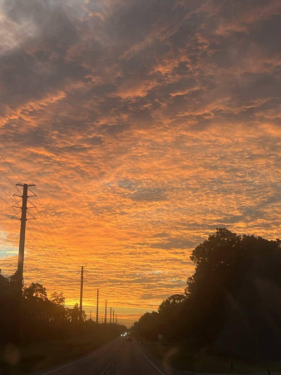 JamieFIZZOX's tweet photo. Good morning from Tallahassee fl https://t.co/VLwMnIuBfb
