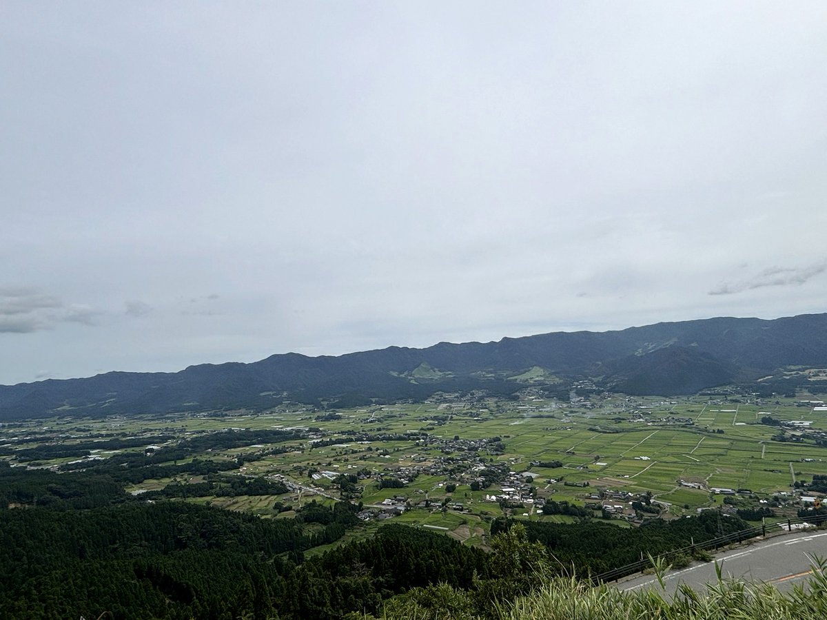 bodhck's tweet photo. うちの龍馬にウォーキングデッド終わってんのか聞いたら終わってるけどスピンオフがあって誰々とって4人ぐらい名前だしてきてネタバレしないようにどうなったか教えられるとか言われたんだけどもうその4人生き残ってるのネタバレしてんのよ。ほんと使えないうちのこ https://t.co/cIf4xWBFGt
