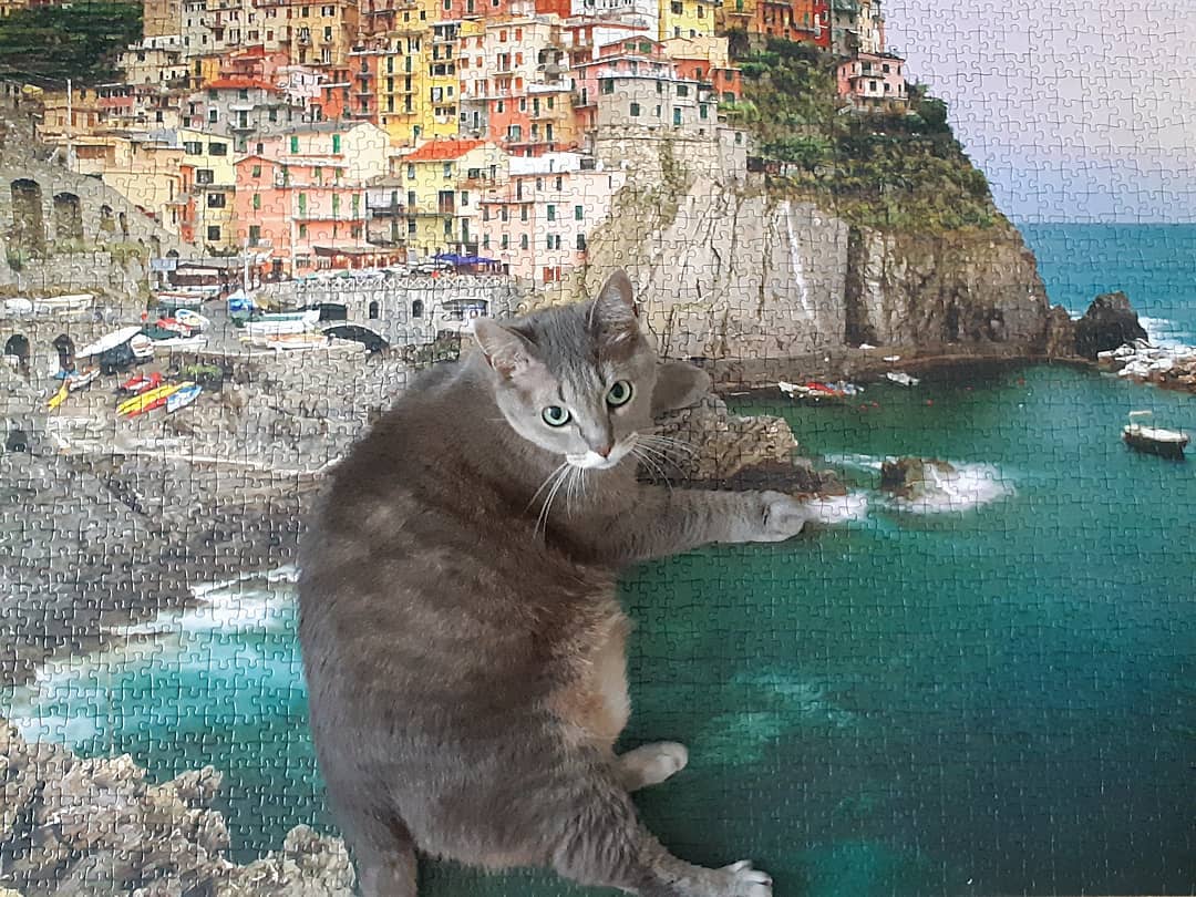 CourtneyFi1a80's tweet photo. I'm in Italy. How's your summer going? я в Италии. Как проходит ваше лето? https://t.co/i88R3GQngS