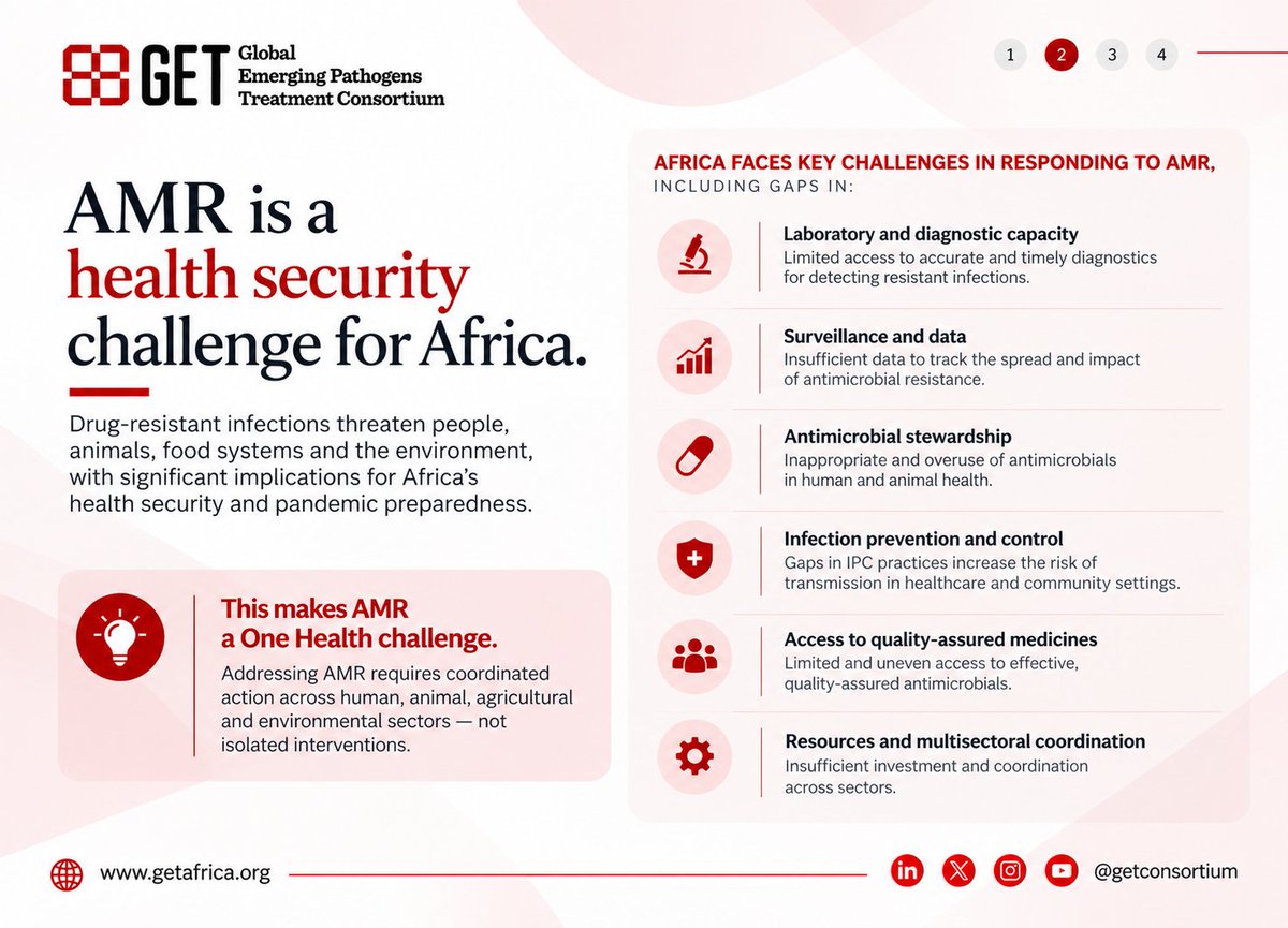 GETConsortium's tweet photo. 🔺 AMR is a health security challenge. 

Are we prepared? Join experts as we explore #AMR, One Health, surveillance, diagnostics, stewardship, and Africa’s preparedness for future health threats.

📅 30 Sept | ⏰ 12 PM WAT (UTC +1)

🔗 Register: https://t.co/JsSK9McOA7 https://t.co/UTCNQTeqQ8