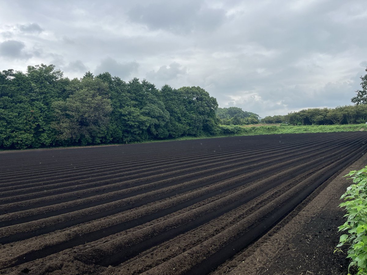 kentani_0222's tweet photo. この荒地も美しい畑に仕上がりました。
国消国産を目指して志高く頑張るよ。 https://t.co/0GCDAlKnO4