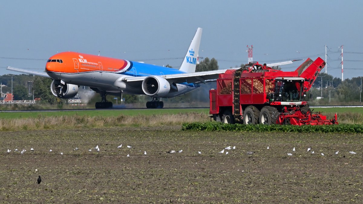 MvanDusseldorp's tweet photo. Het zoet van de @haarlemmermeer - de suikerbieten; .@Schiphol en de #OrangePride van .@KLM
Gewoon geweldig... #PHBVA
@marianneschuurm @BerylvanStraten @2eKamertweets @pedegro https://t.co/2mSIcvZdnU