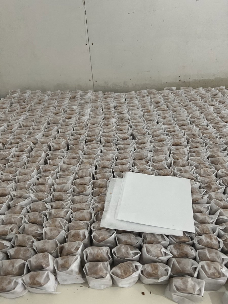 keluhkesahkonoh's tweet photo. Suami beberapa hari gak ada orderan, kerjaan utamanya malah main game 😭

Gue yang kesel akhirnya doa, “Ya Tuhan, maafkan suami hamba yang malas. TOLONG HUKUM DIA lewat orderan yang banyak.”

Besoknya orderan masuk. Lusa masuk lagi. Besoknya masuk lagi.

Gue ikut bantuin sambil ketawa ngikik dalam hati 😭

Dia gak tahu aja… ternyata selama ini yang dia kira rezeki, ternyata hukuman dari istrinya sendiri. 😭