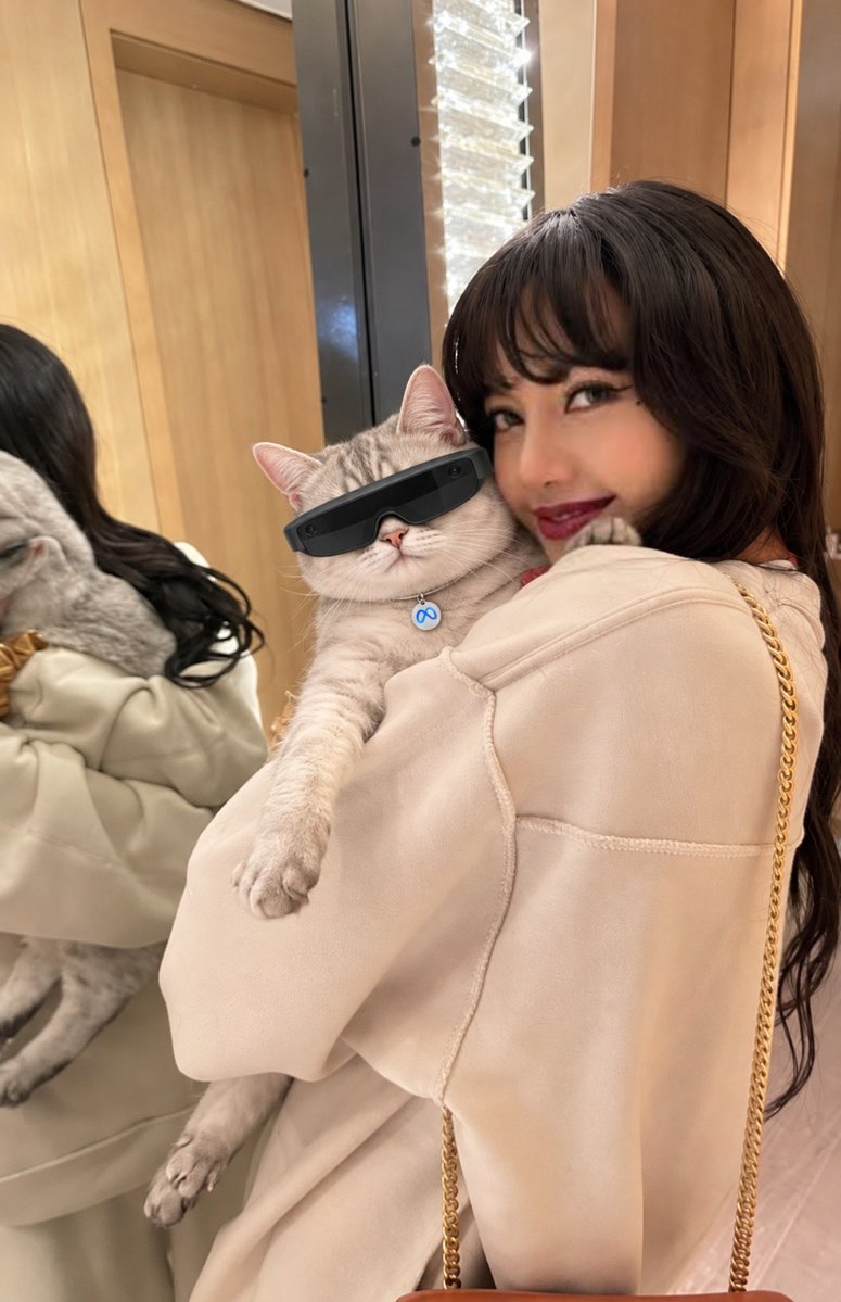 LouisMetaCat's tweet photo. A special episode with a special cat 🐈 
The @meta cat! 🐱 - $LOUIS https://t.co/3YxvVBUg7R