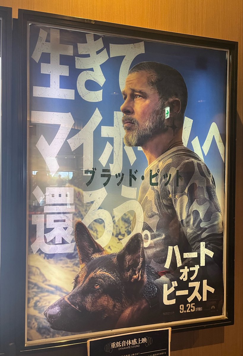 ss_maeee's tweet photo. 今週の映画はこちらを見てきました
ブラピは何歳になってもカッコいいな
犬好きにはたまらない映画だと思う
アラスカの大自然を映画館の大きなスクリーンで観ると綺麗だし迫力があったな

#ハートオブビースト https://t.co/yDXhqzvrCT