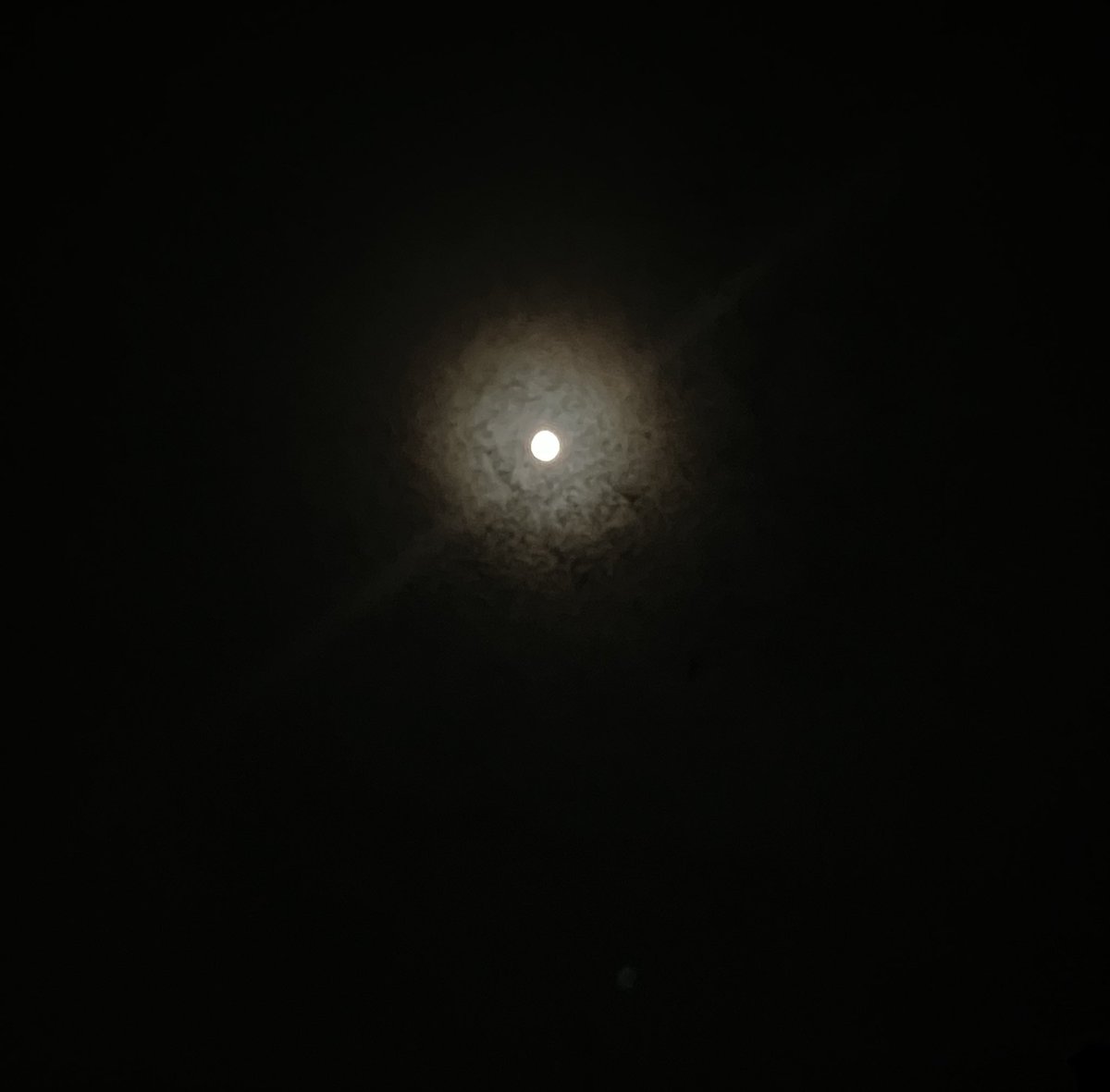 nzmcrs's tweet photo. 🌕〜！雲があるからぼわっとしている https://t.co/DnQajOdY0R