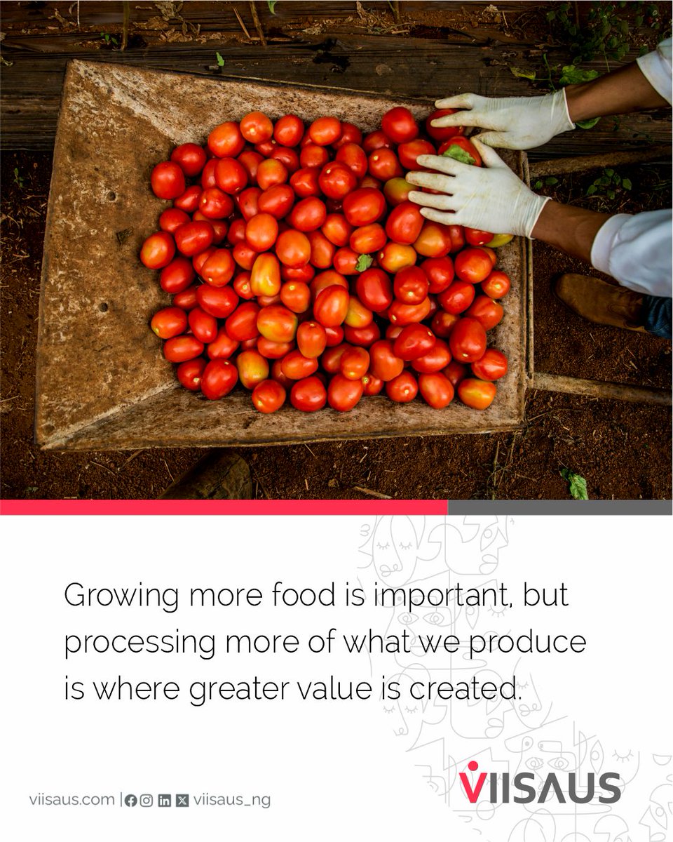 ElizEdmiso5o's tweet photo. Nigeria grows enough food. The crisis is what happens after harvest: 40–60% of perishables spoil, costing ₦3. 5 trillion yearly. The opportunity is infrastructure—power, finance, cold storage, and processing—to turn waste into jobs and exports. https://t.co/JZGCEVZ1CL