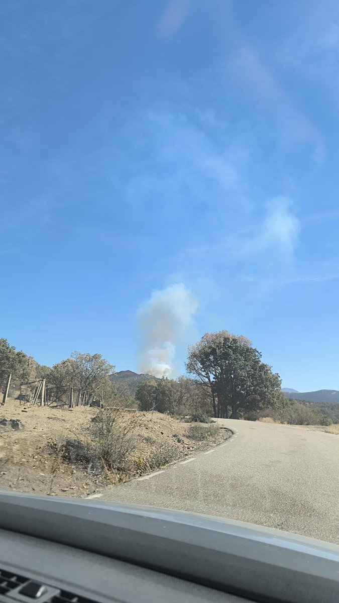 BBFFMadrid's tweet photo. En estos momentos se está desarrollando un incendio en el municipio de #Cabida en Guadalajara en zona limítrofe con la #SierraDelRincón de la #ComunidadDeMadrid.
Varios medios aéreos y terrestres de #BomberosForestalesCM y #BomberosCM se dirigen a la zona junto con los medios de #Guadalajara.
