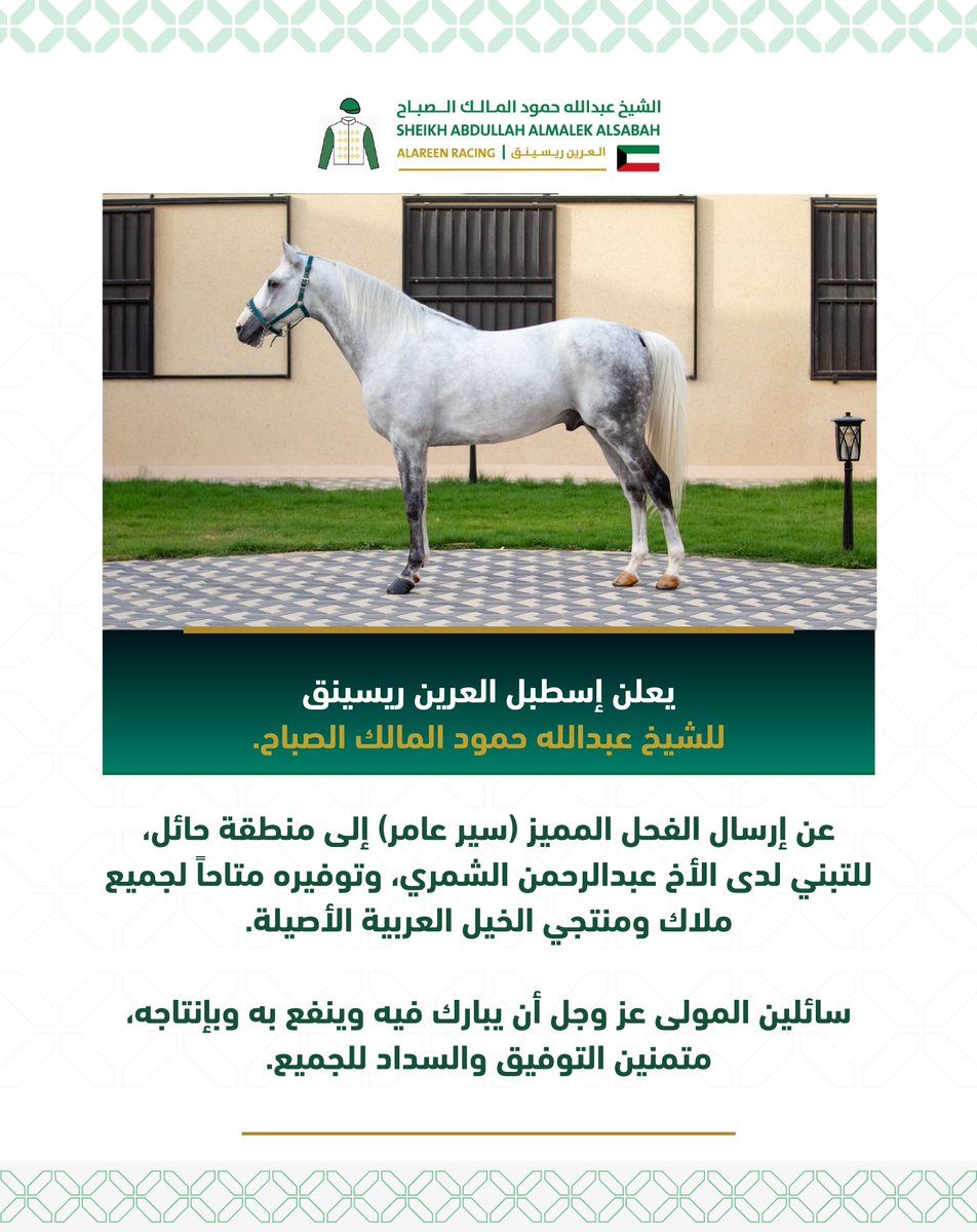 alareen_racing's tweet photo. إعلان ⚠️ : https://t.co/qMMmEMuN2q