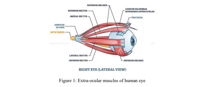 IjcseaJournal's tweet photo. Published Article!!

Video-Based Detection of Squint and Cataract for Accessibility-Aware Adaptive Web Interface Rendering

Amar Ranjan Dash 1 and Manas Ranjan Patra 2, 1Berhampur University, India, 2NIST University, India

https://t.co/dLni1xh72Q
https://t.co/8dN2aor7LD https://t.co/LrKRsU9sY8