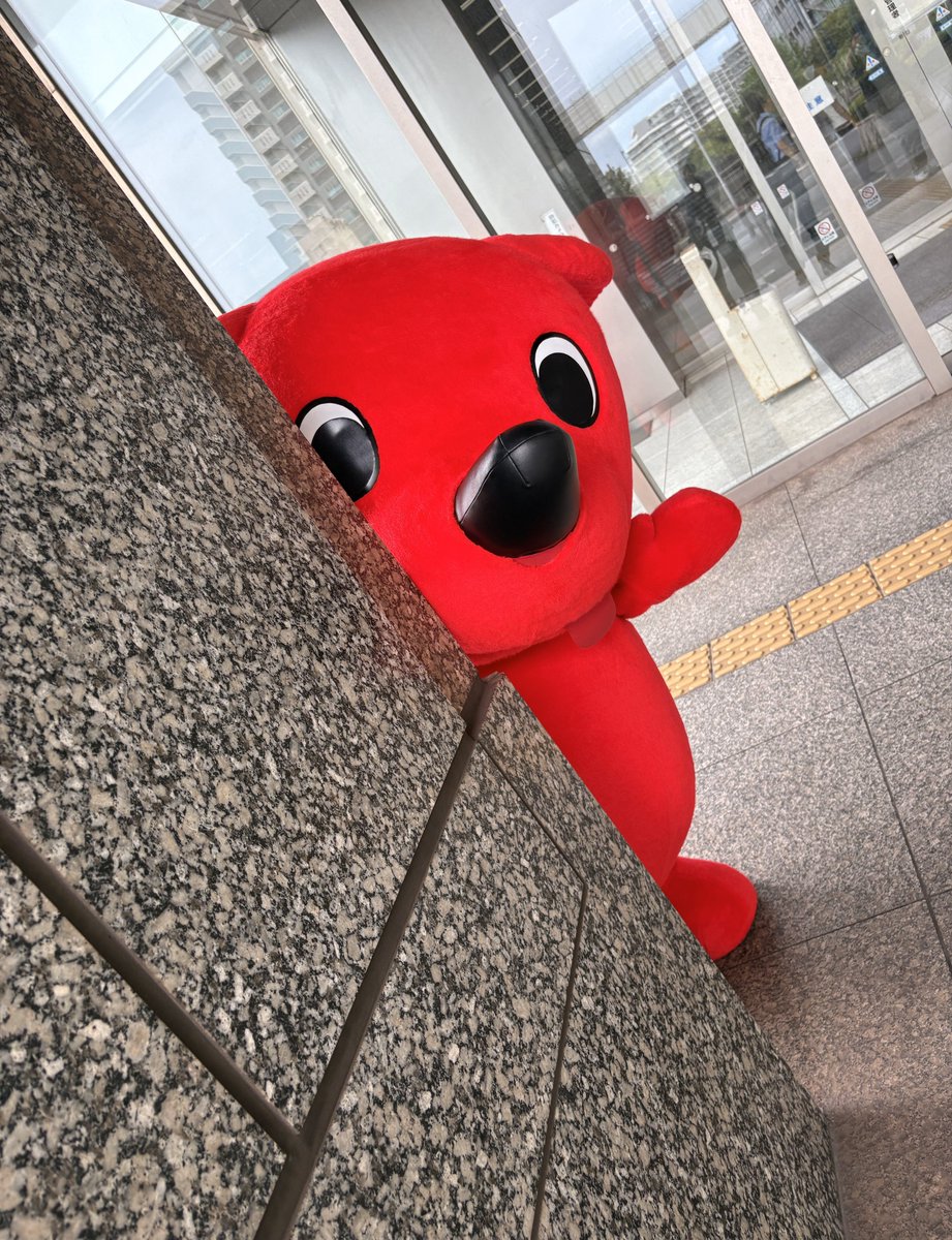 chi_bakun_chiba's tweet photo. ちらり。 https://t.co/JLKBNiKnQF