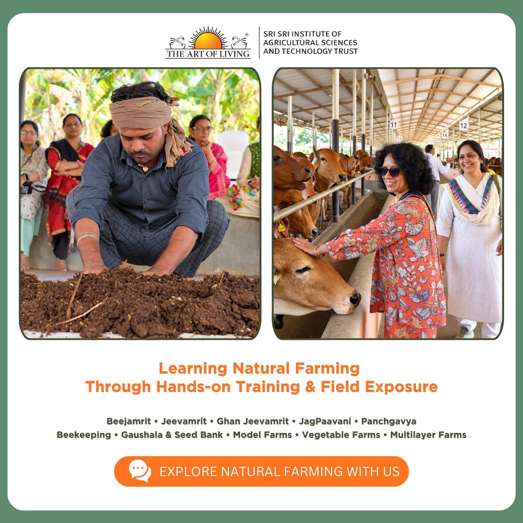SSIAST's tweet photo. 🌾 The Art of Living-SSIAST successfully concluded a 3-day Natural Farming Training for Government Officers and Farmers from Barwani, Madhya Pradesh.

🌱 Explore Natural Farming with Art of Living–SSIAST
#artofliving #SSIAST https://t.co/UIOSLedDFA