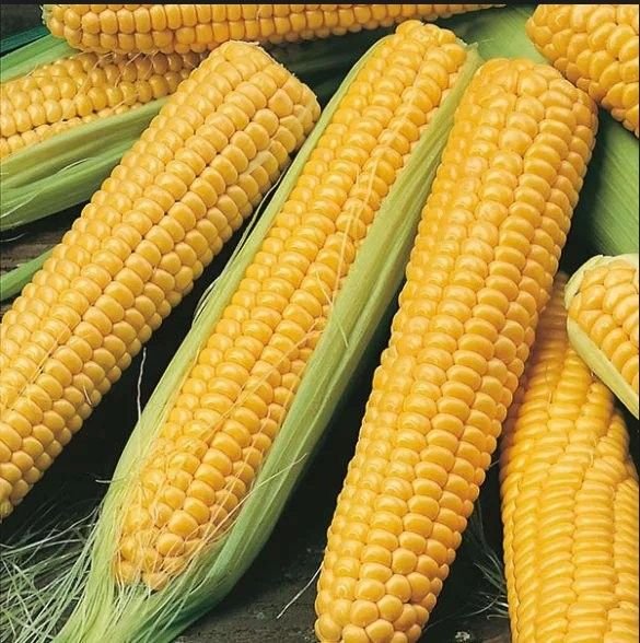 ThinkNGuess's tweet photo. What do you call it in your language? https://t.co/VjwoiVfMpa