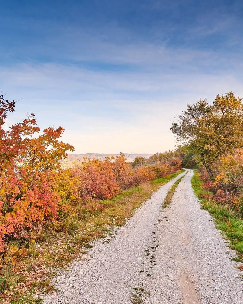 ColoursofIstria's tweet photo. As much as we love summer, we long for slower overcast and sometimes rainy autumnal days. 🍁 Soon we will have beautiful autumnal colours surrounding us everywhere we look! 😍🍂 https://t.co/REjhILcYVE