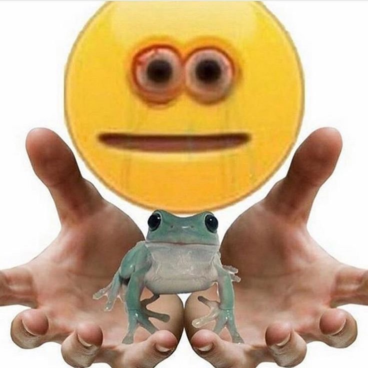 Ome0ba's tweet photo. I recently got a graphics tablet. I’ll try to post something soon. In the meantime—please hold this toad. https://t.co/KbjaXd6WBl