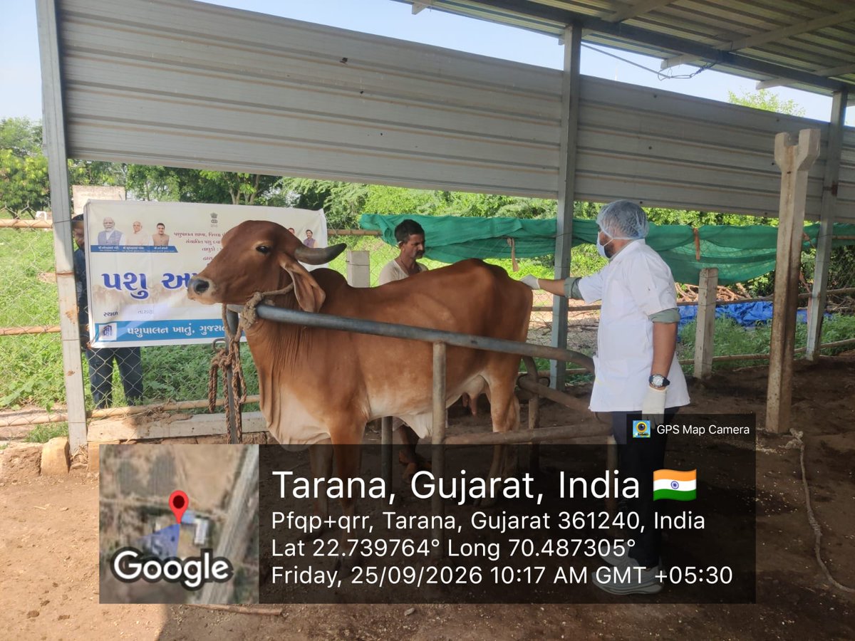 ddojamnagar2's tweet photo. આજરોજ સેવા સેતુ કાર્યક્રમ અંતર્ગત તારાણા (જોડીયા) અને ખારવા (ધ્રોલ) ગામે પશુ સારવાર કેમ્પનું પશુપાલન વિભાગ દ્વારા આયોજન કરવામાં આવેલ જેમાં 1273 પશુઓને મેડિસિન, સર્જિકલ, ગાયનેક સારવાર તેમજ કૃમિનાશક દવા વિતરણ કરવામાં આવી.

@CMOGuj @Bhupendrapbjp @InfoGujarat
@Dwivedi_D @GujPRHDept https://t.co/oplCxXCoN2