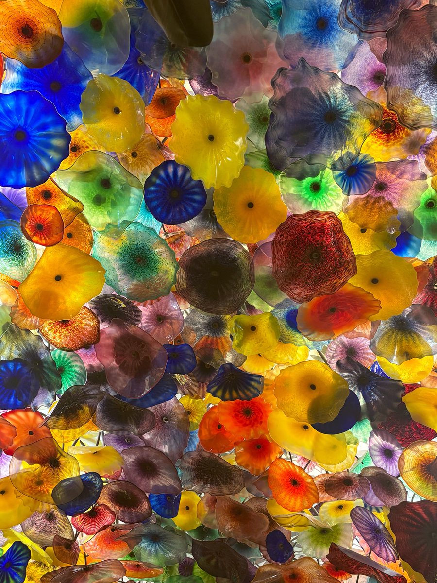thisishowivegas's tweet photo. Happy Friday X fam βοΈβ¨
From the #drunkinvegas files at the @Bellagio π₯ Have a great weekend!
#vegas #lasvegas #thisishowivegas #realvegas #vegasvisiting #vegasstrip #vegasbaby #lasvegasstrip #vegasfun https://t.co/RqJWQGXGJa