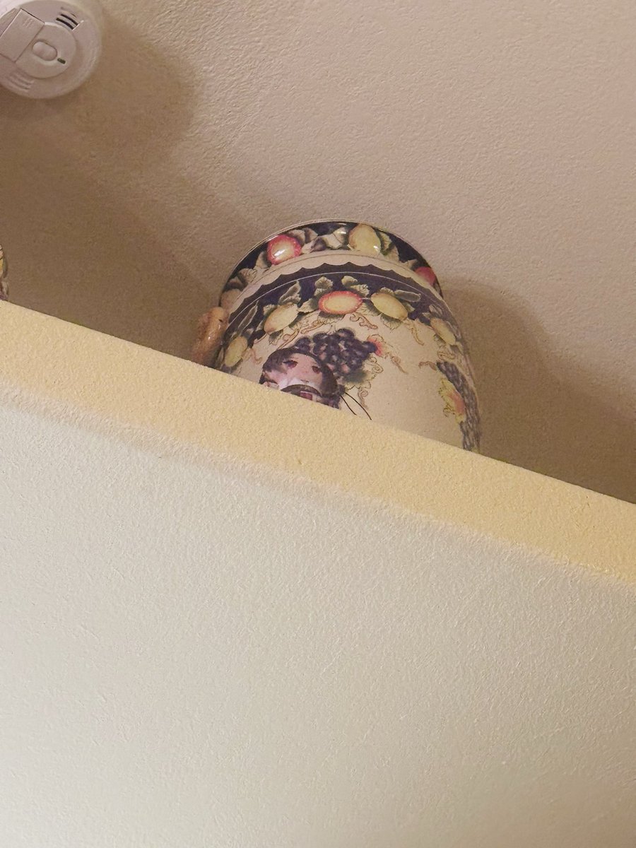 ScarleYonaguni's tweet photo. So I couldn’t find my pepe for the past few days. I haven’t seen it since the last time I showed it on stream on tuesday, and here I am cleaning at 5 in the morning…only to look up and see who’s sitting up there WHERE I CAN’T REACH???!!!😭 https://t.co/Aochjvv2jK